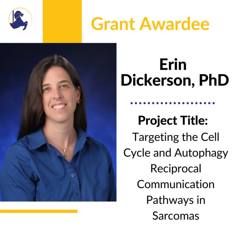 Rein in Sarcoma Awards $50,000 Research Grant