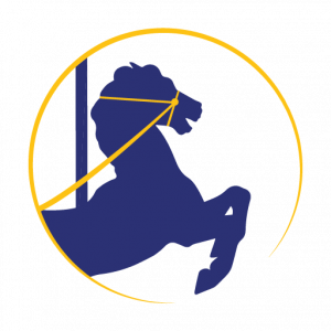 RIS site icon